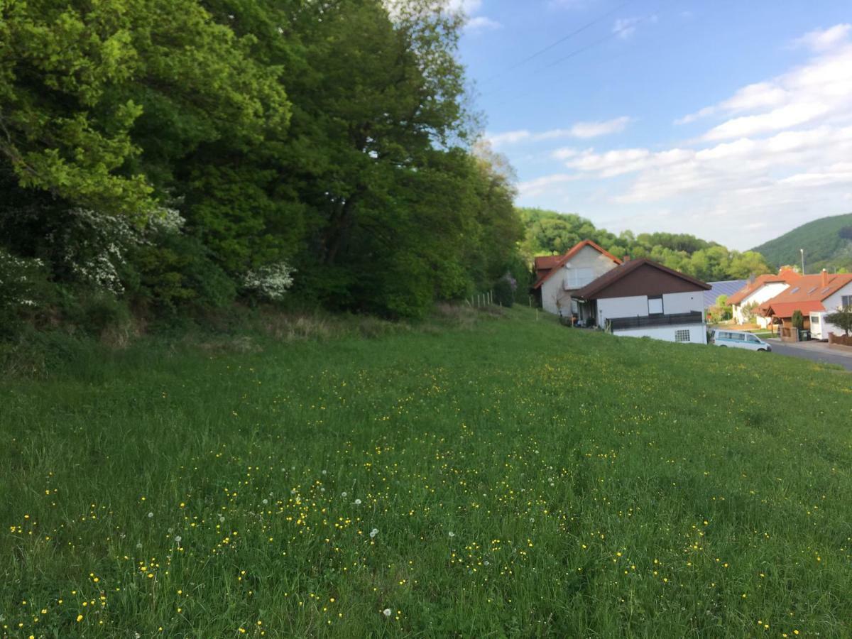 Ferienhaus Moscheltal Vila Waldgrehweiler Exterior foto
